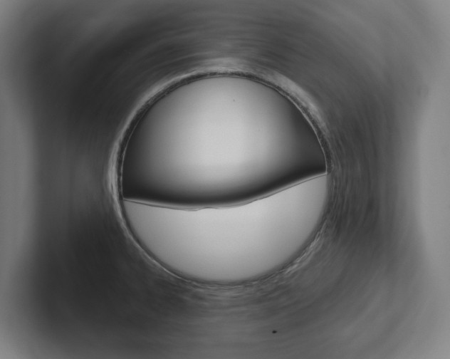 X0000102871334200808181038