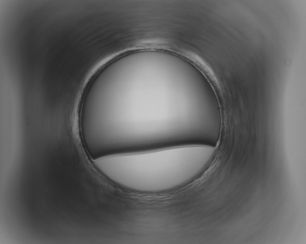 X0000102871336200808181038
