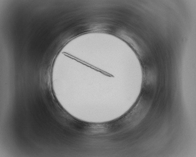 X0000102871338200808181038