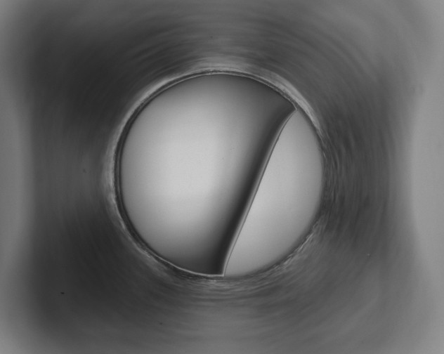 X0000102871339200808181038