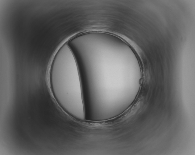 X0000102871341200808181038