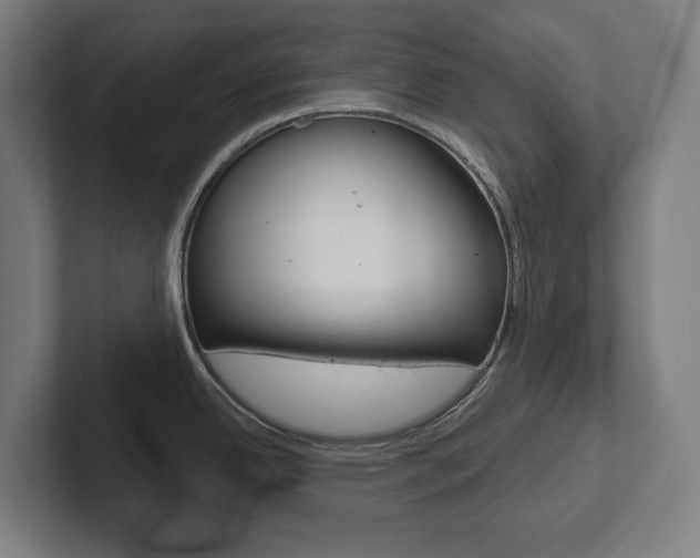 X0000102871342200808181038