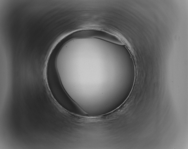 X0000102871344200808181038