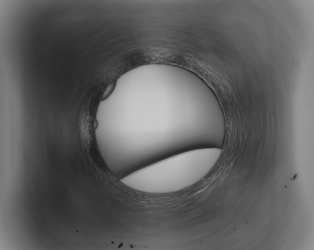 X0000102871346200808181037
