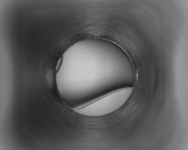 X0000102871347200808181037
