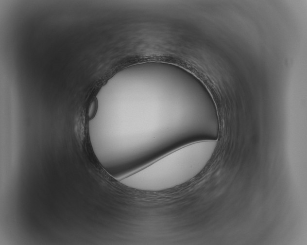 X0000102871348200808181037