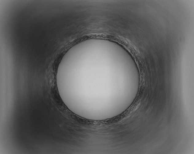 X0000102871350200808181037
