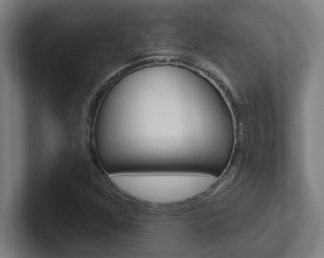 X0000102871352200808181037