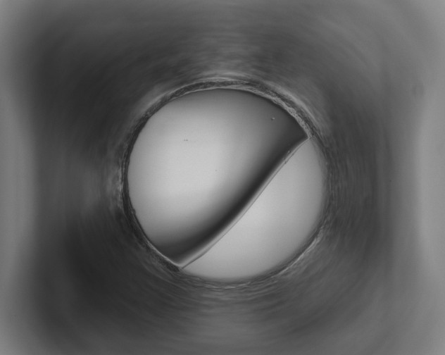 X0000102871355200808181037