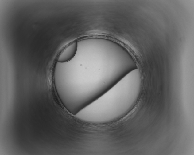 X0000102871358200808181037