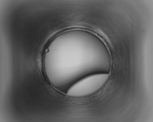X0000102871360200808181037