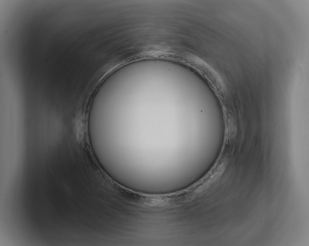 X0000102871361200808181037