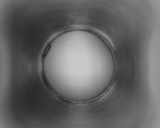 X0000102871365200808181037