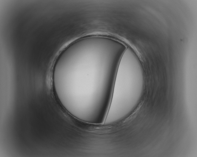 X0000102871367200808181037