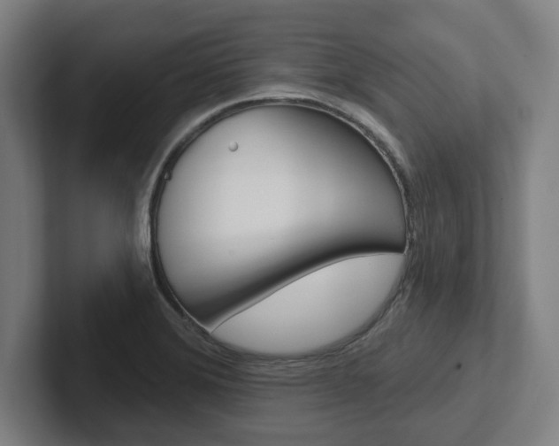 X0000102871372200808181037