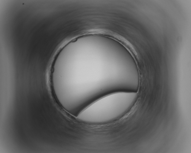 X0000102871373200808181037