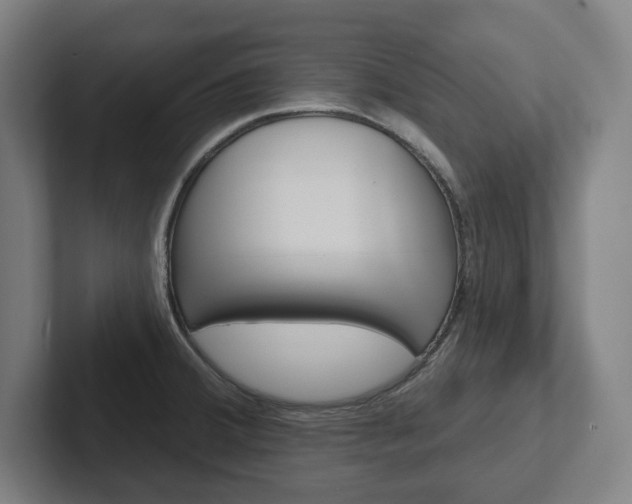 X0000102871380200808181037