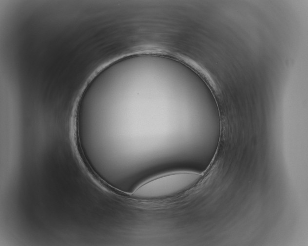 X0000102871383200808181037