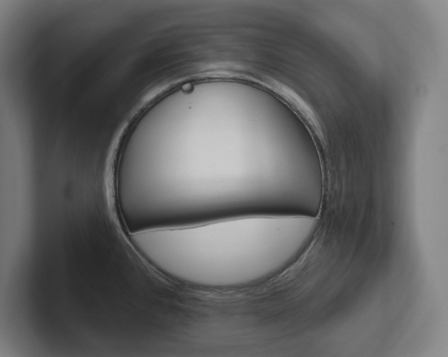 X0000102871384200808181037