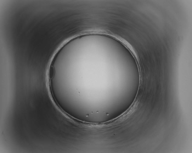 X0000102871389200808181037