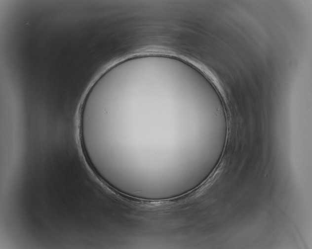 X0000102871390200808181037
