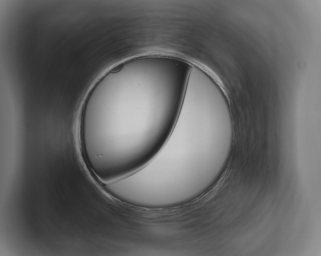 X0000102871391200808181037