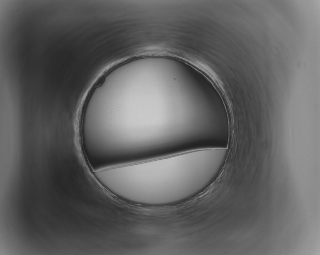 X0000102871392200808181037