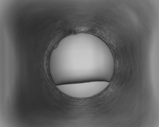 X0000102871393200808181036