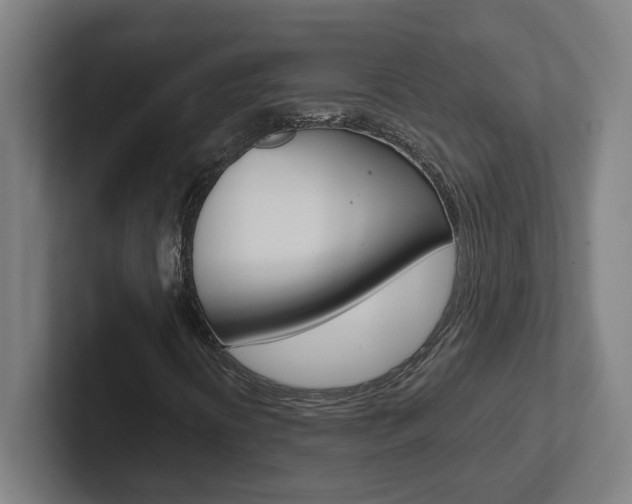 X0000102871394200808181036