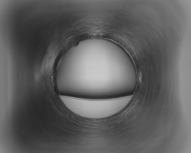 X0000102871396200808181036