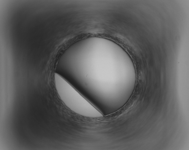 X0000102871398200808181036
