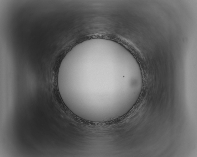 X0000102871399200808181036
