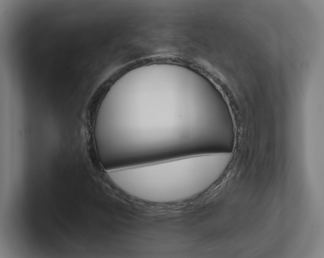 X0000102871400200808181036