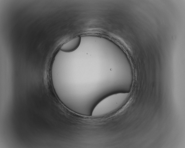 X0000102871405200808181036