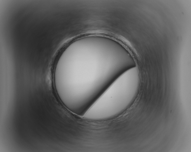 X0000102871408200808181036
