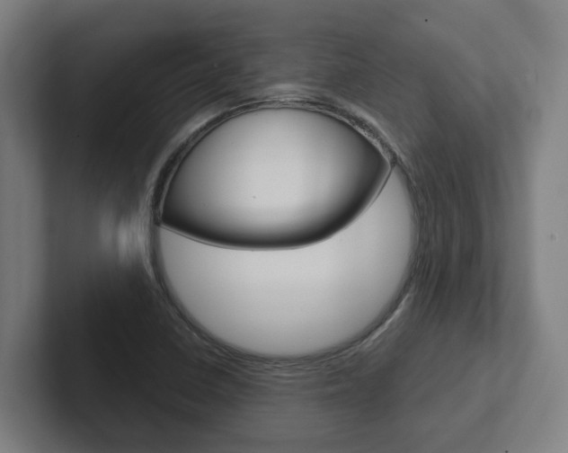 X0000102871410200808181036