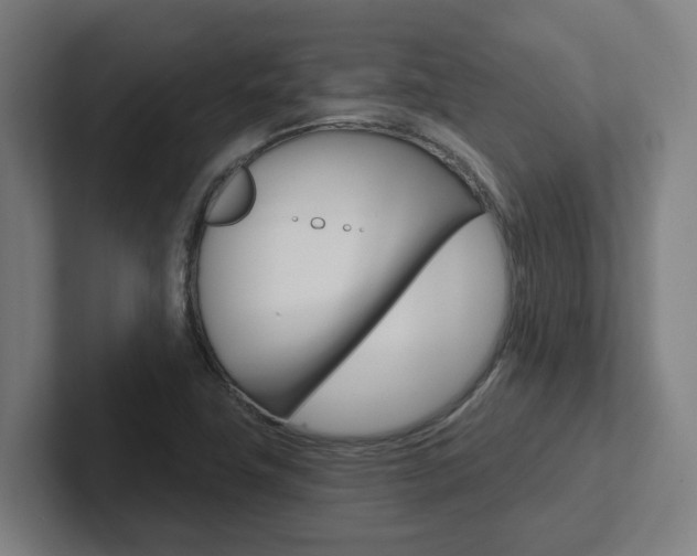 X0000102871411200808181036