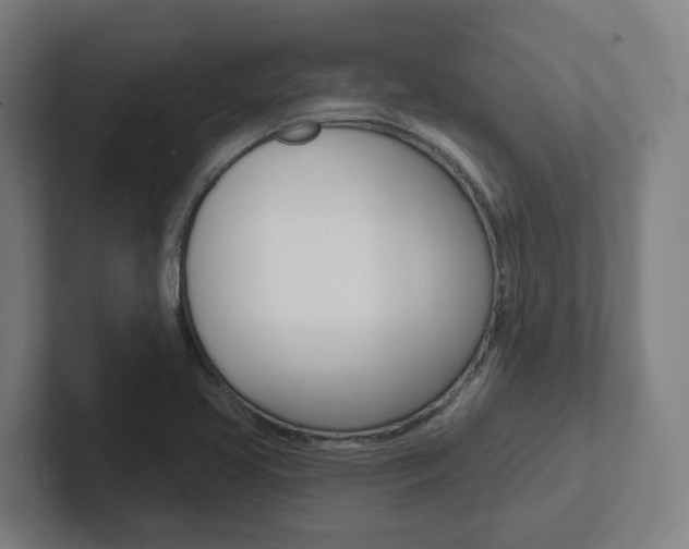 X0000102871413200808181036
