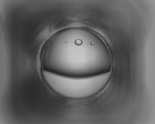 X0000102871414200808181036
