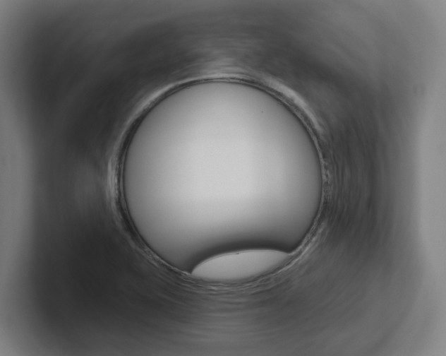 X0000102871415200808181036