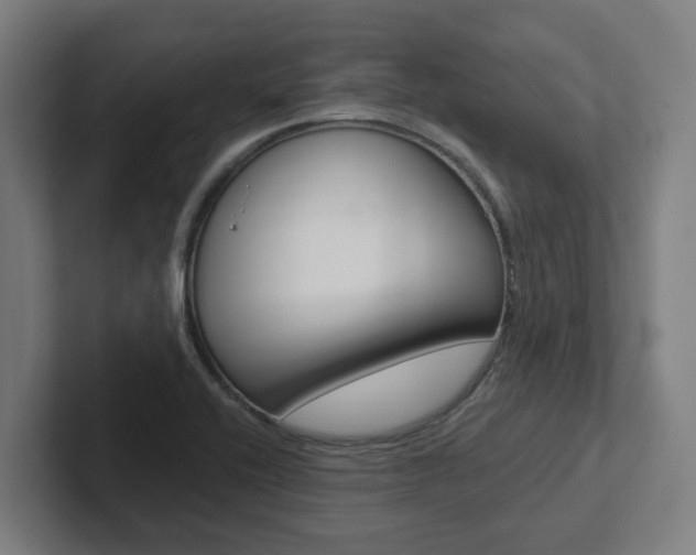 X0000102871416200808181036