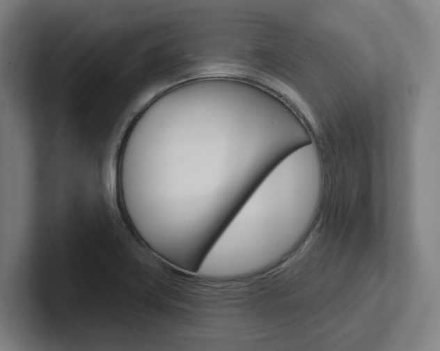 X0000102871419200808181036