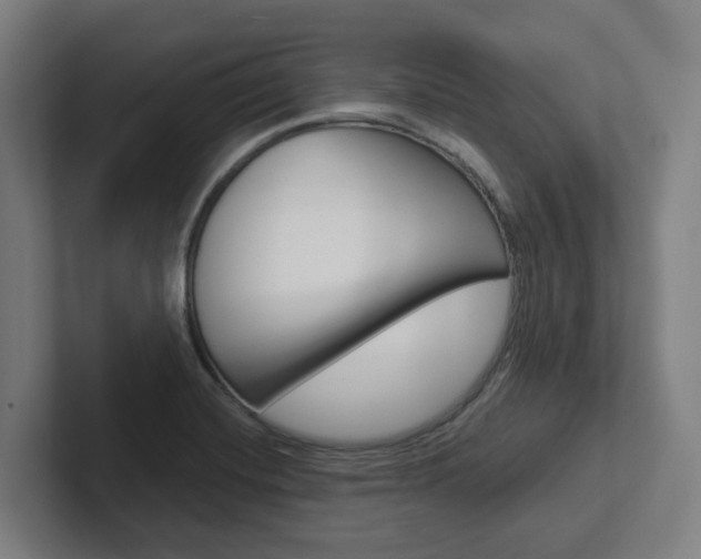 X0000102871420200808181036