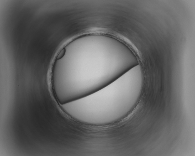X0000102871421200808181036