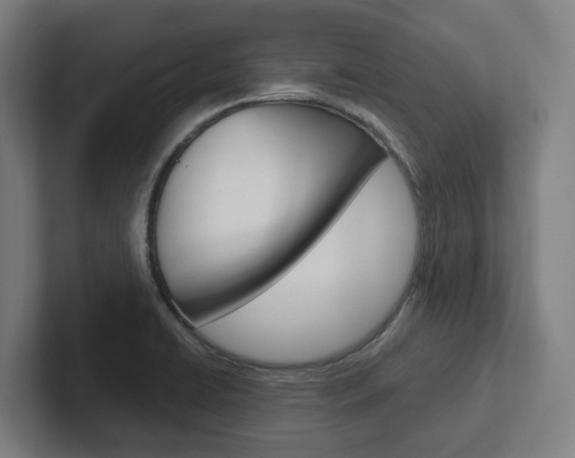 X0000102871422200808181036