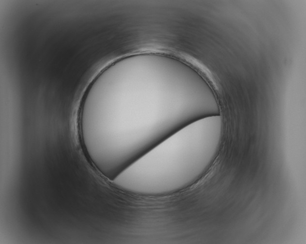 X0000102871423200808181036