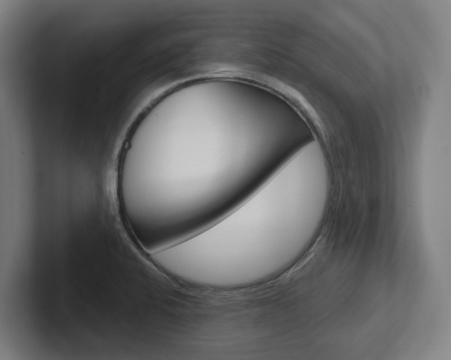 X0000102871424200808181036
