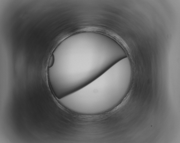 X0000102871425200808181036