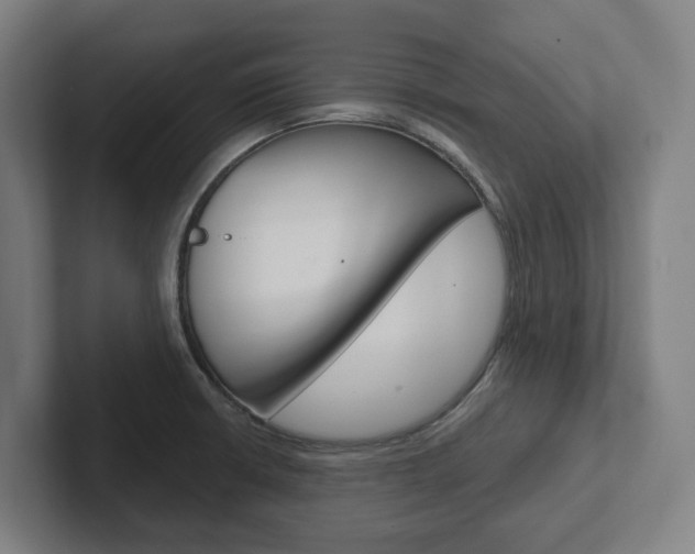 X0000102871426200808181036