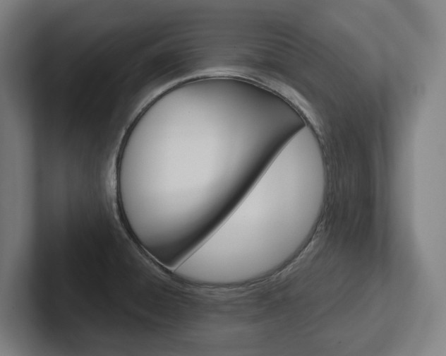 X0000102871428200808181036